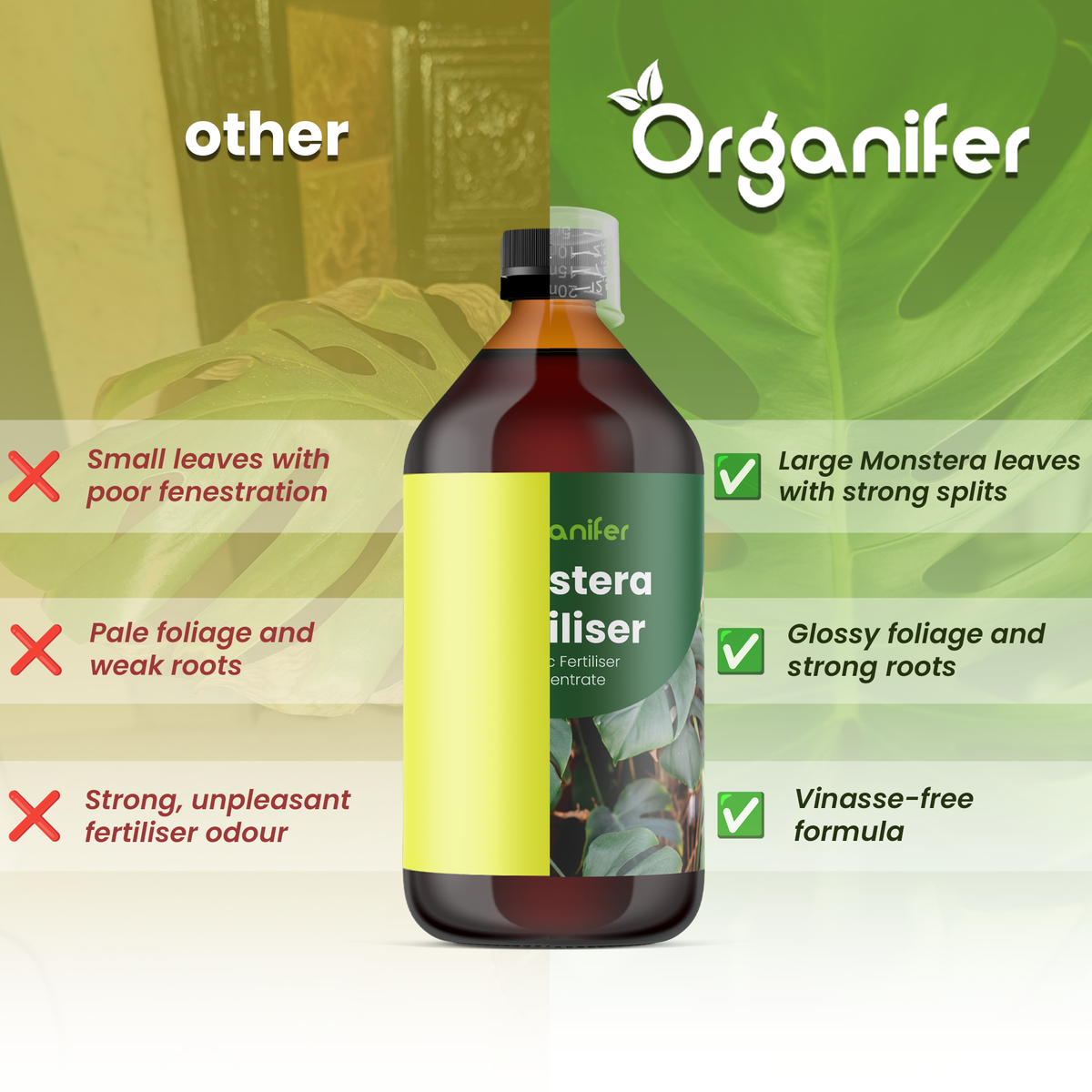 organifer-monstera-liquid-fertiliser-comparison