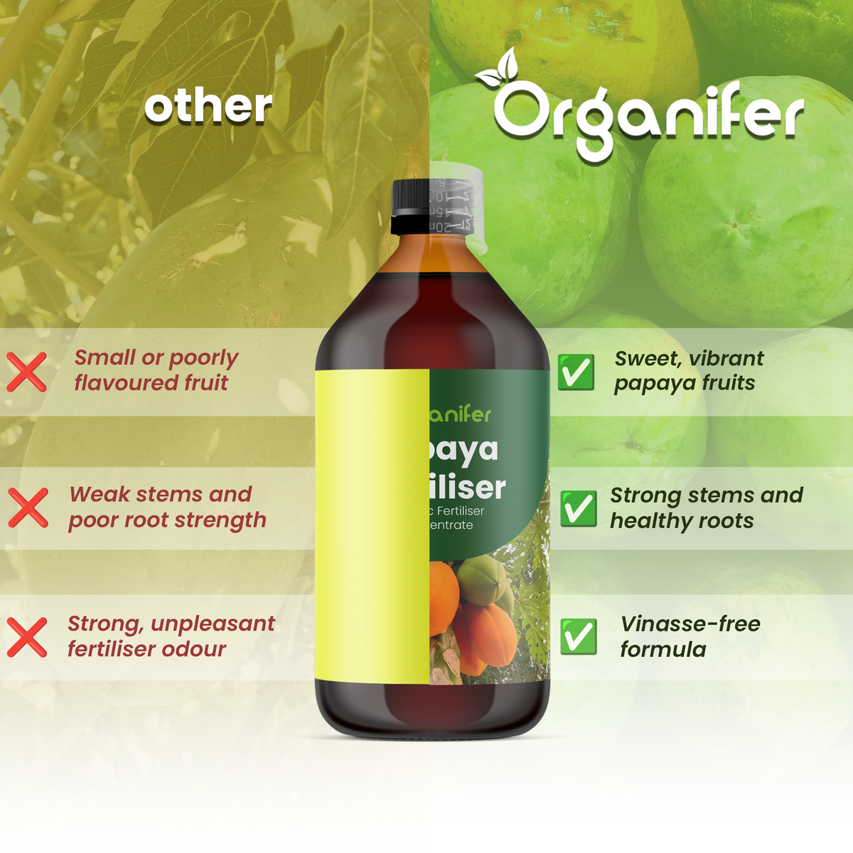 organifer-papaya_comparison_english
