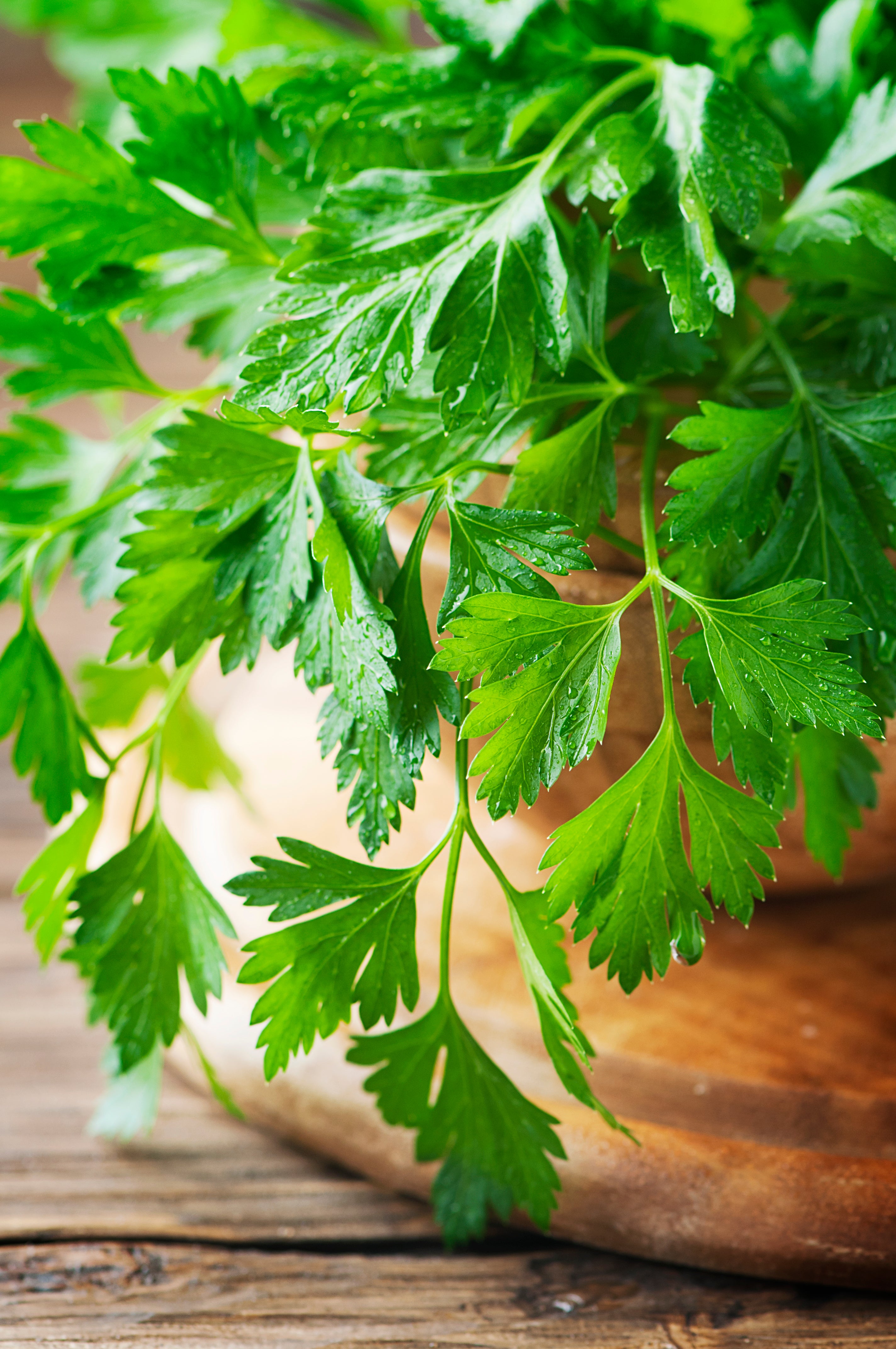 Intensyvus aromatas, skonis ir maistinių medžiagų tankis