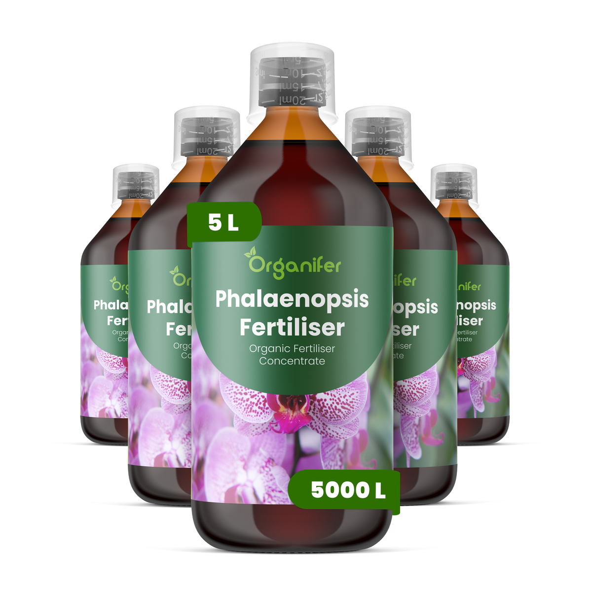 organifer-phalaenopsis-liquid-fertiliser