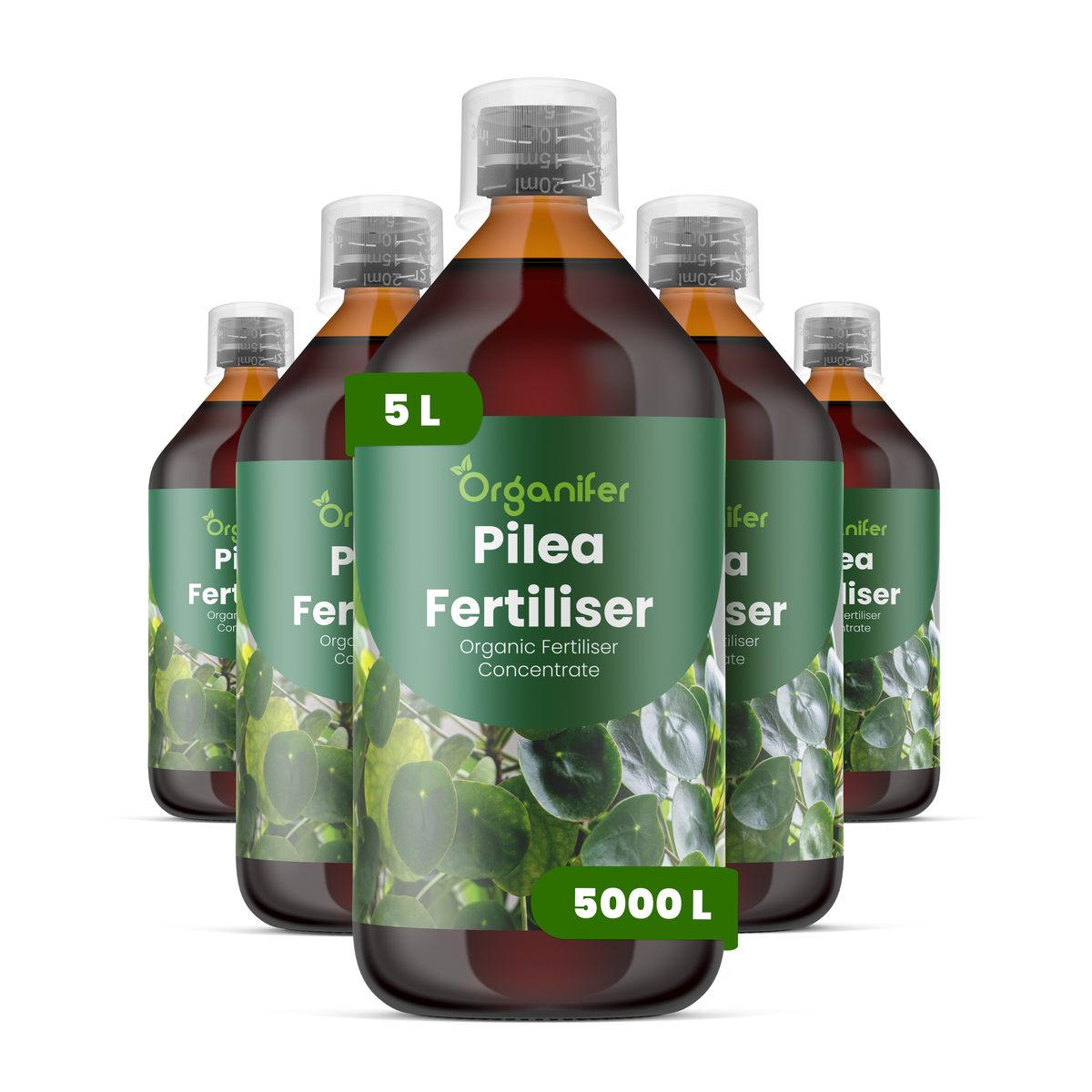 Organifer Pilea Liquid Fertiliser - Set 5x1 liter 8719958009356 1