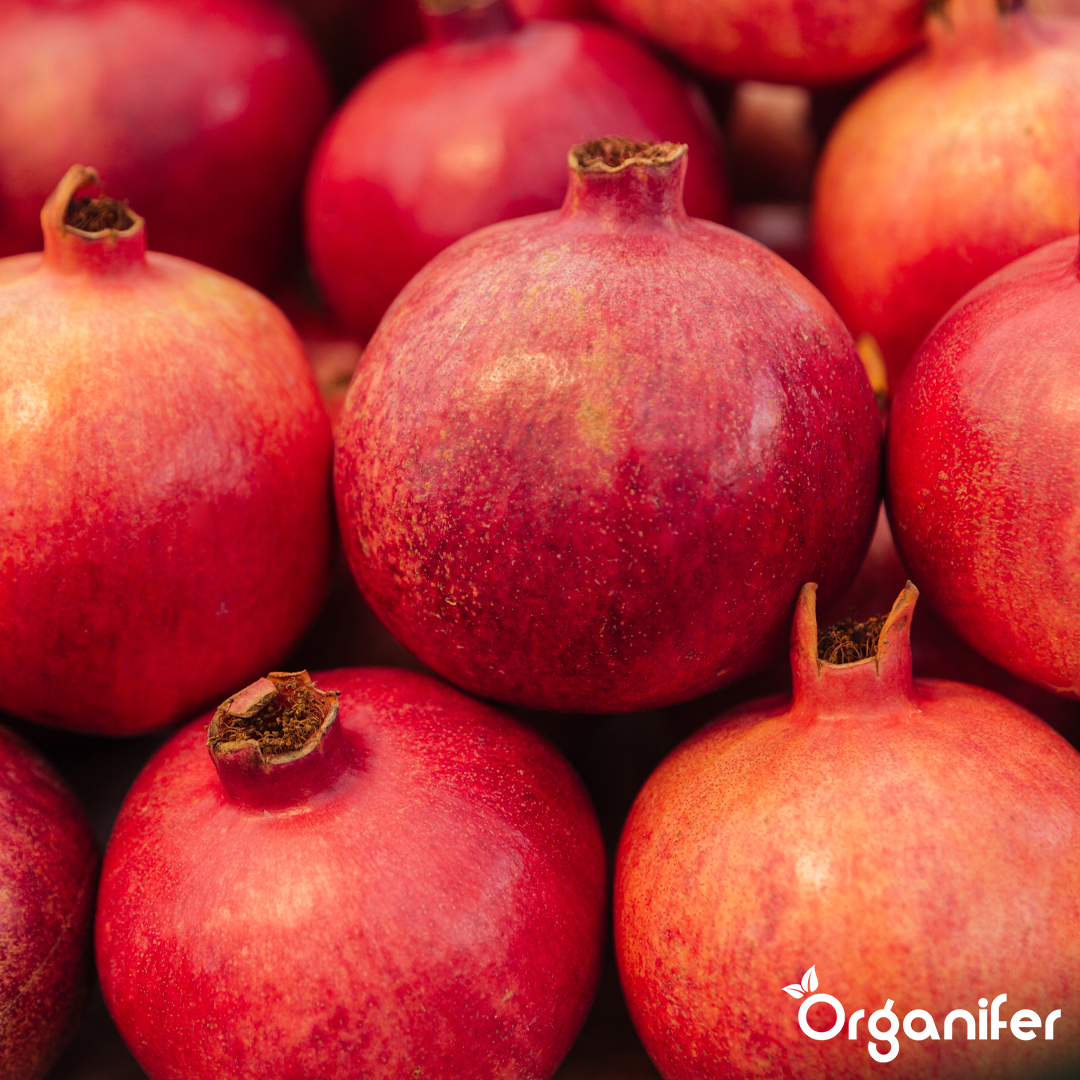 Organifer