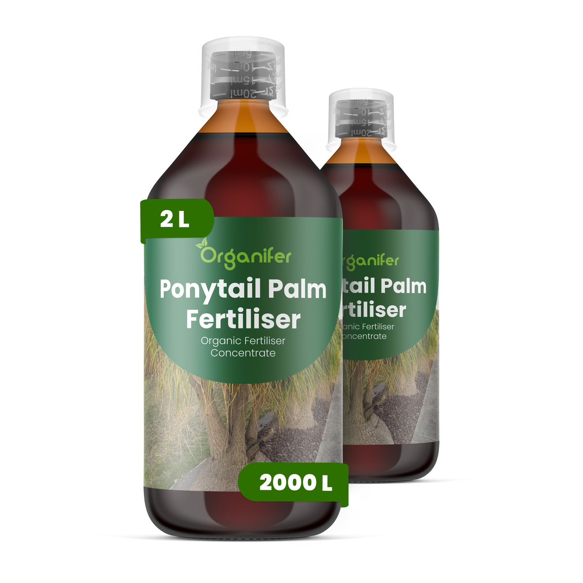 Organifer Ponytail Palm Liquid Fertiliser- 2x1 liter 8719958006003 1
