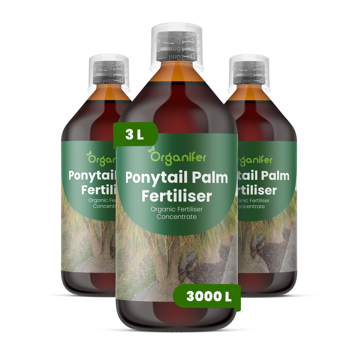 Organifer Ponytail Palm Liquid Fertiliser - 3x1 liter 8719958006010 1