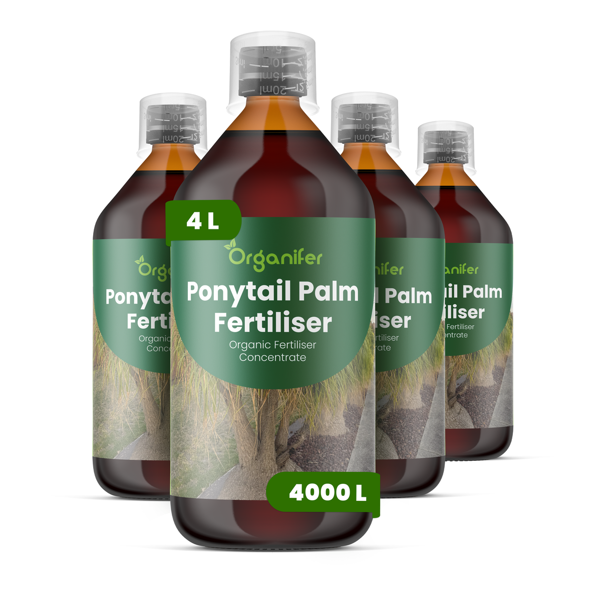 Organifer Ponytail Palm Liquid Fertiliser - 4x1 liter 8719958006027 1