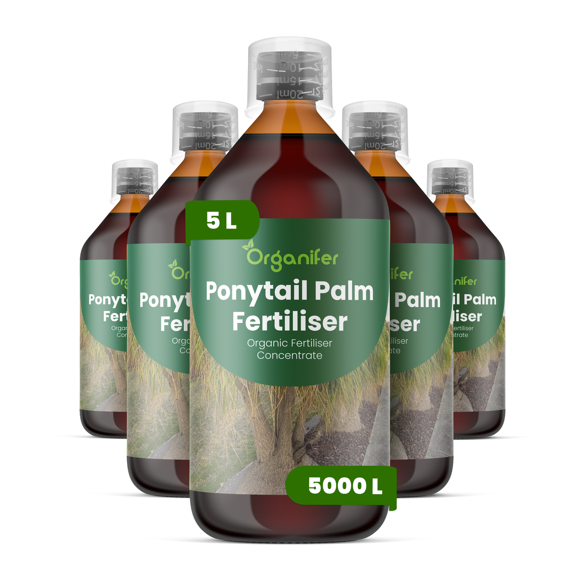 Organifer Ponytail Palm Liquid Fertiliser - 5x1 liter 8719958005990 1