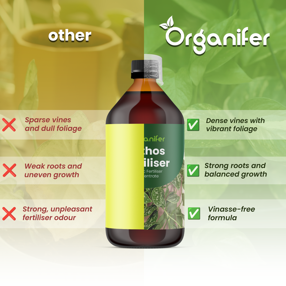 organifer-pothos-liquid-fertiliser-pothos_comparison