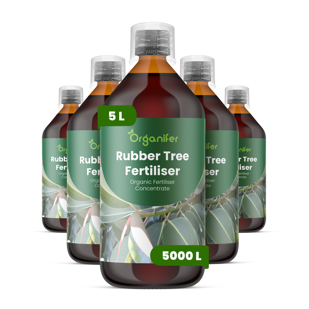 organifer-rubber-tree-liquid-fertiliser