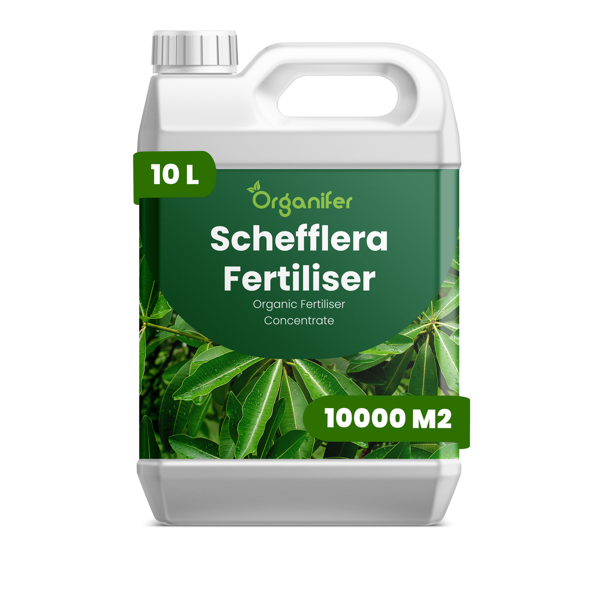 Organifer Schefflera Liquid Fertiliser - 10 liters 8719958011946 1
