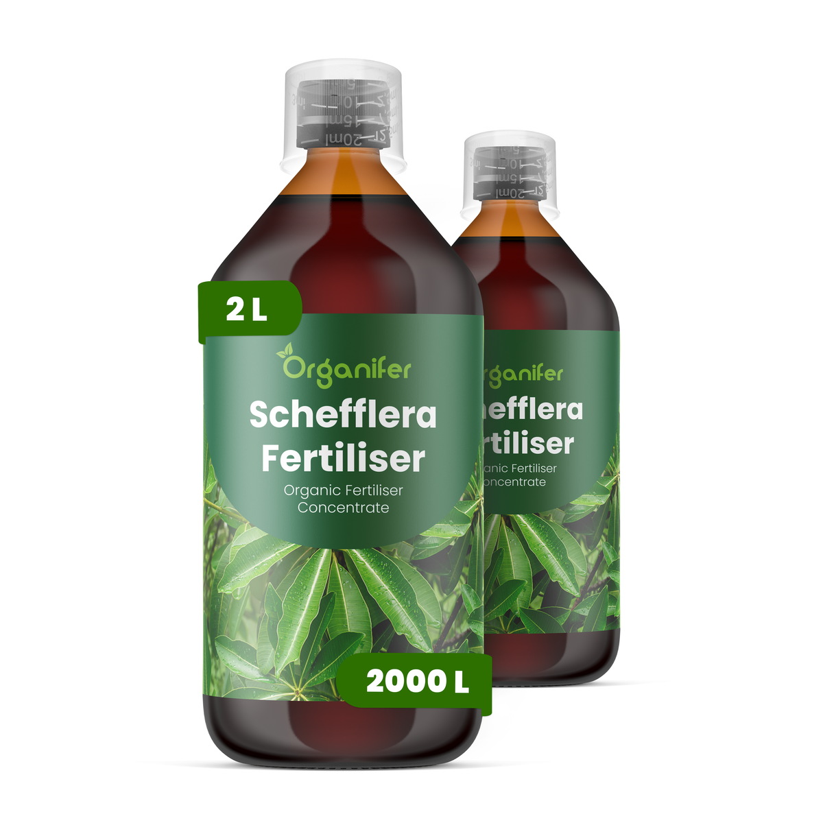 organifer-schefflera-liquid-fertiliser-2l