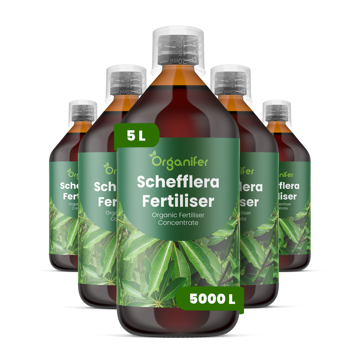 organifer-schefflera-liquid-fertiliser-5l