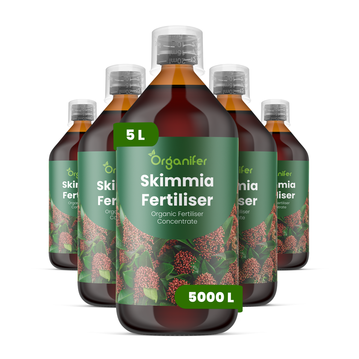 organifer-skimmia-lquid-fertiliser-5l