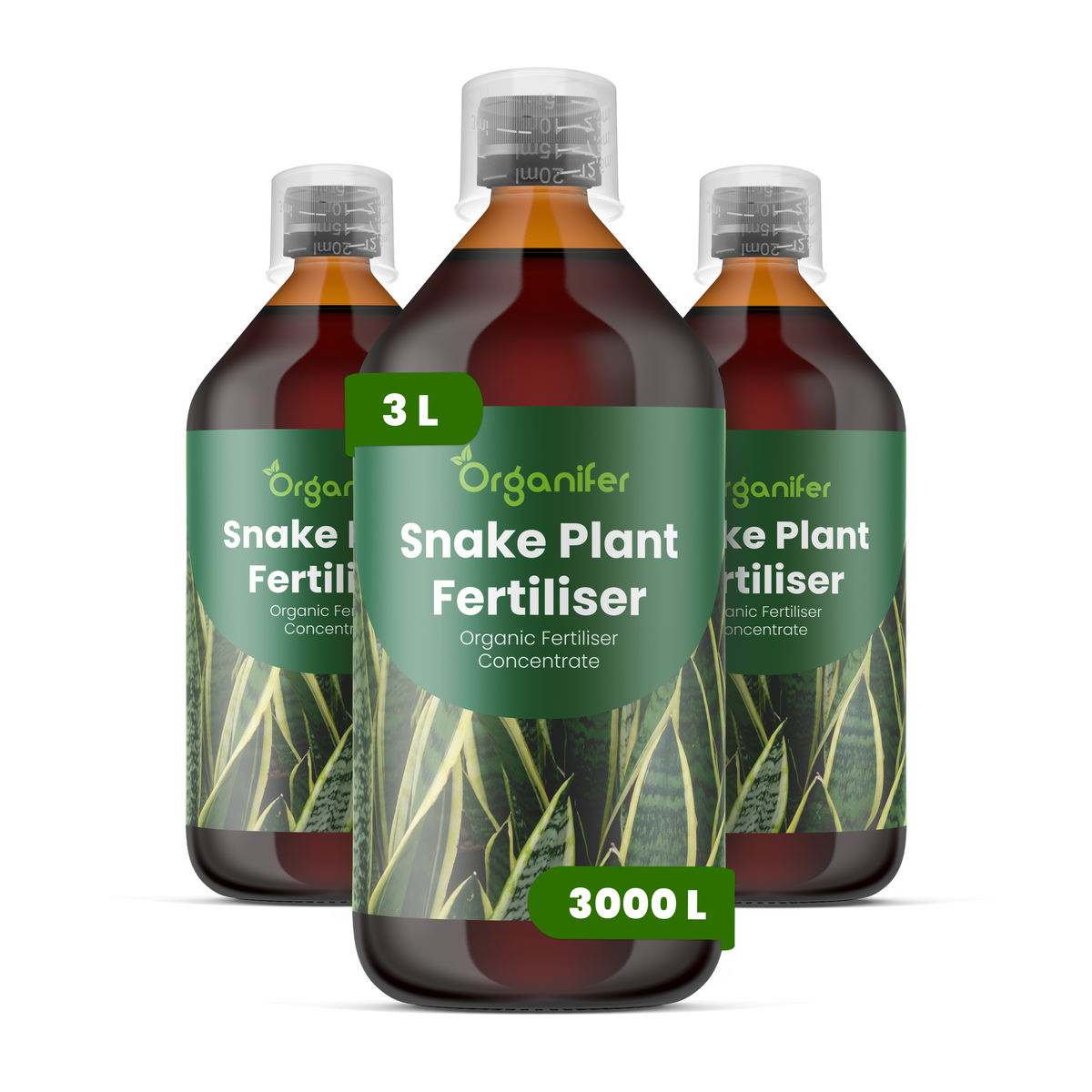 8719958004610 3L Snake Plant labels
