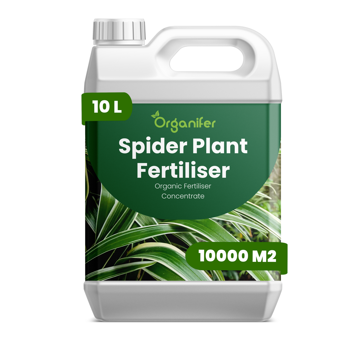 organifer-spider-plant-liquid-fertiliser-1-liter