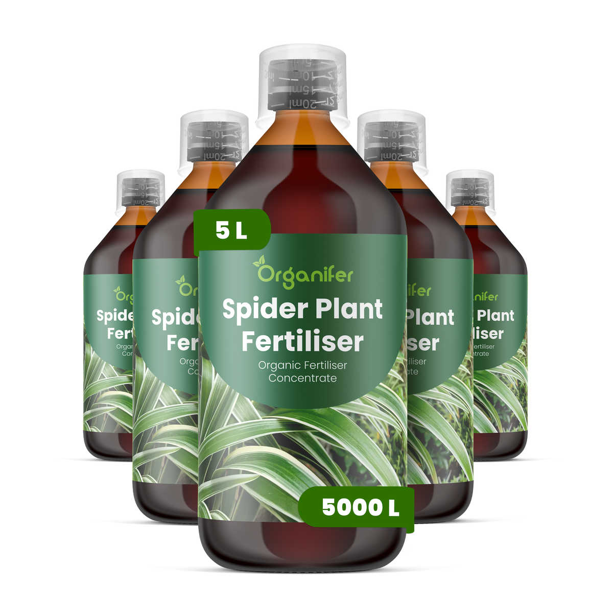 Organifer Spider Plant Liquid Fertiliser - Set 5x1 liter 8719958009950 1