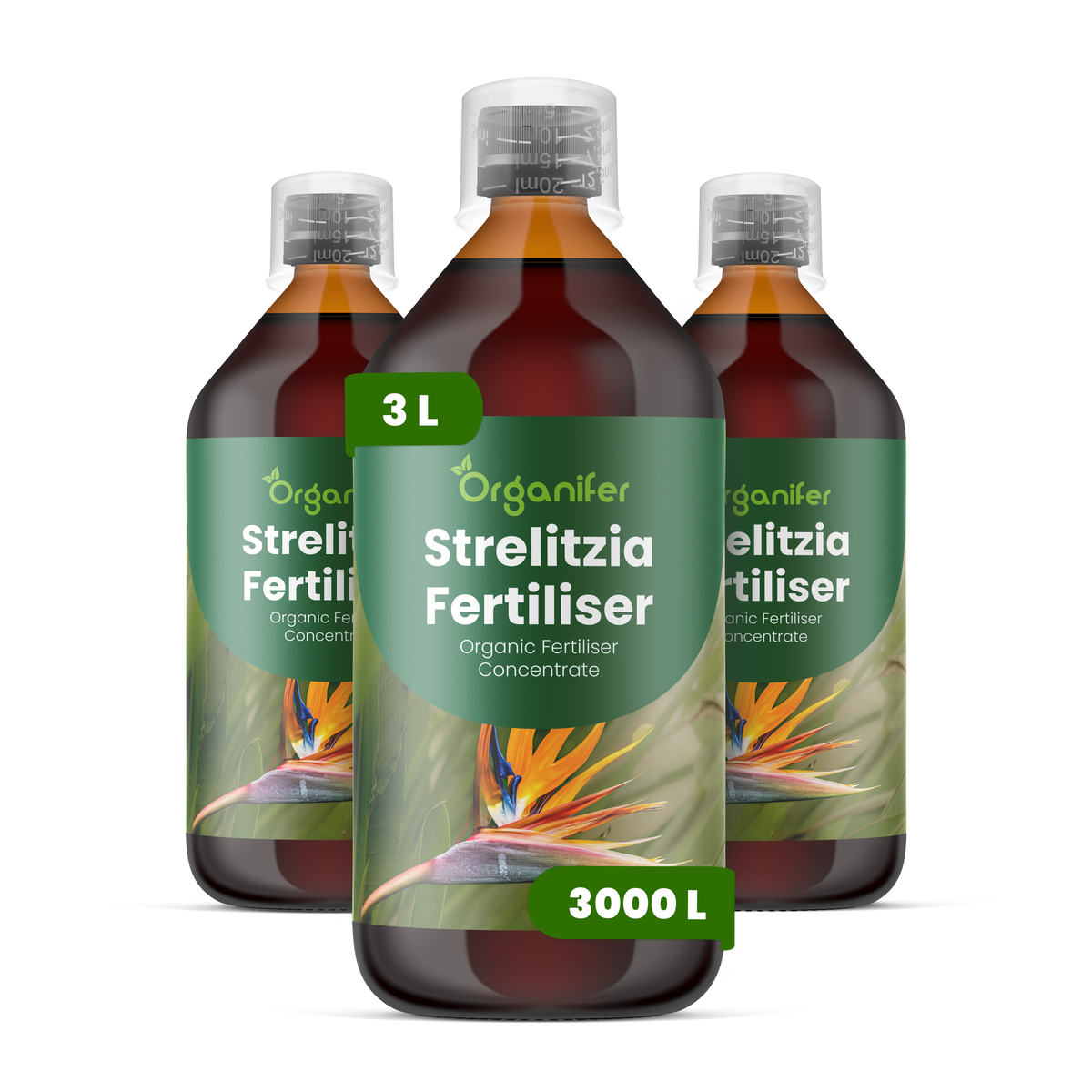 Organifer Strelitzia Liquid Fertiliser - Set 3x1 liter 8719958010093 1