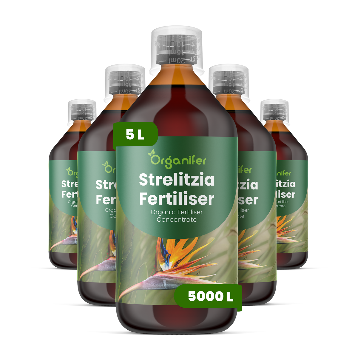 organifer-strelitzia-liquid-fertiliser-5l