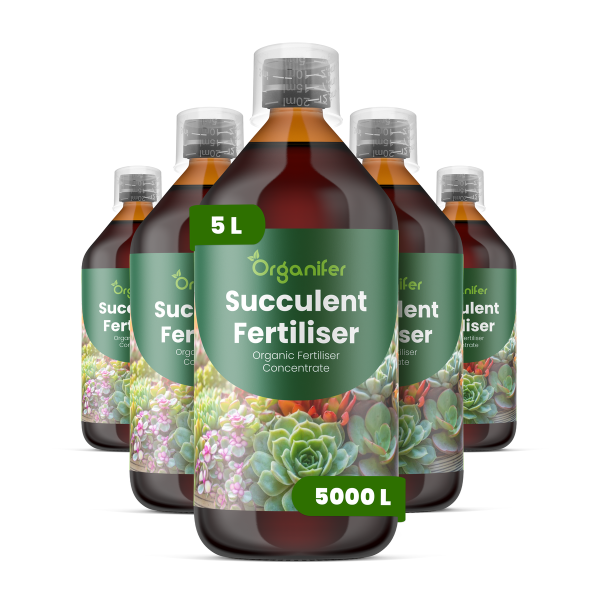 organifer-succulenti-liquid-fertiliser-5l