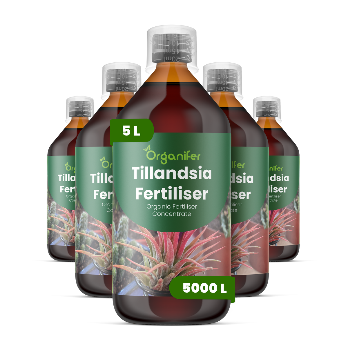 organifer-tillandsia-liquid-fertiliser-5x1l