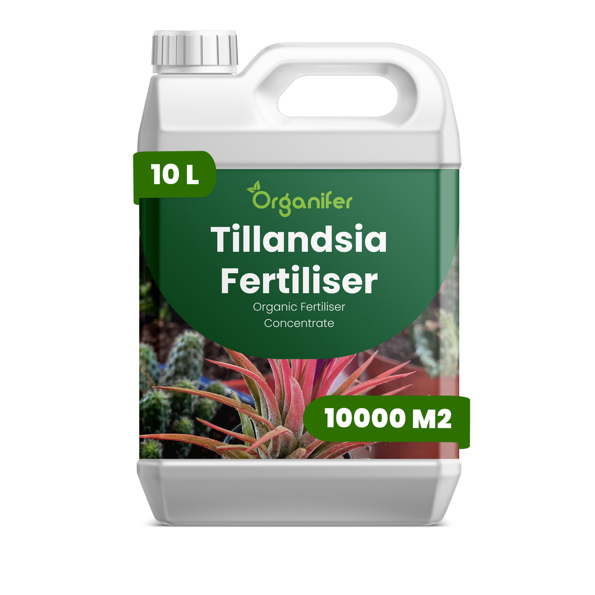 organifer-tillandsia-liquid-fertiliser-10l