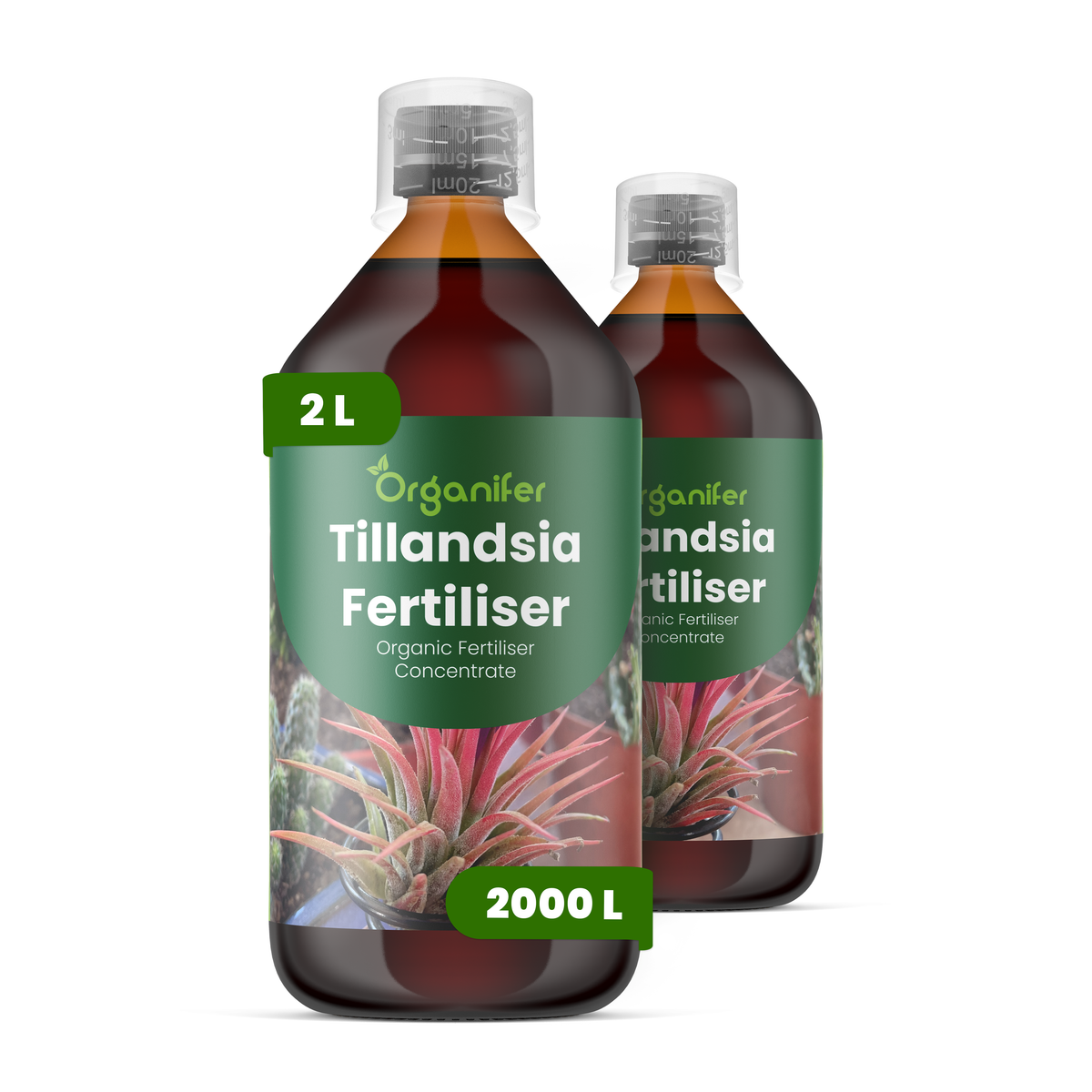 organifer-tillandsia-liquid-fertiliser-2x1l