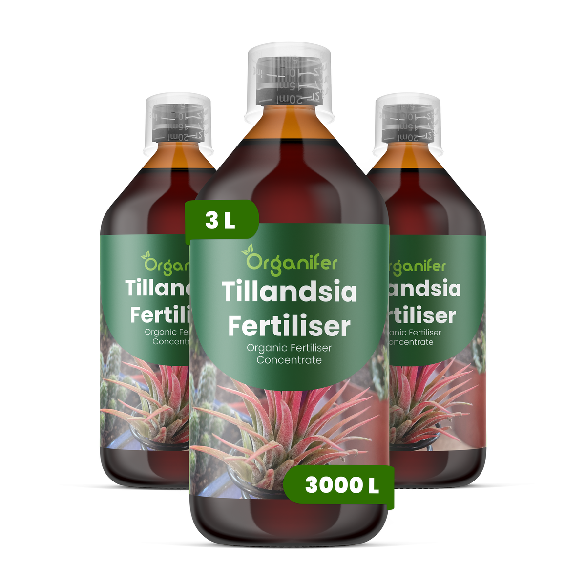 organifer-tillandsia-liquid-fertiliser-3x1l