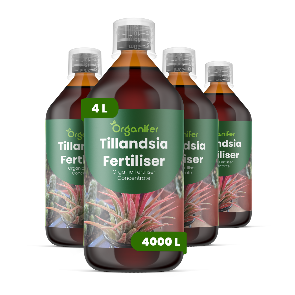 organifer-tillandsia-liquid-fertiliser-4x1l