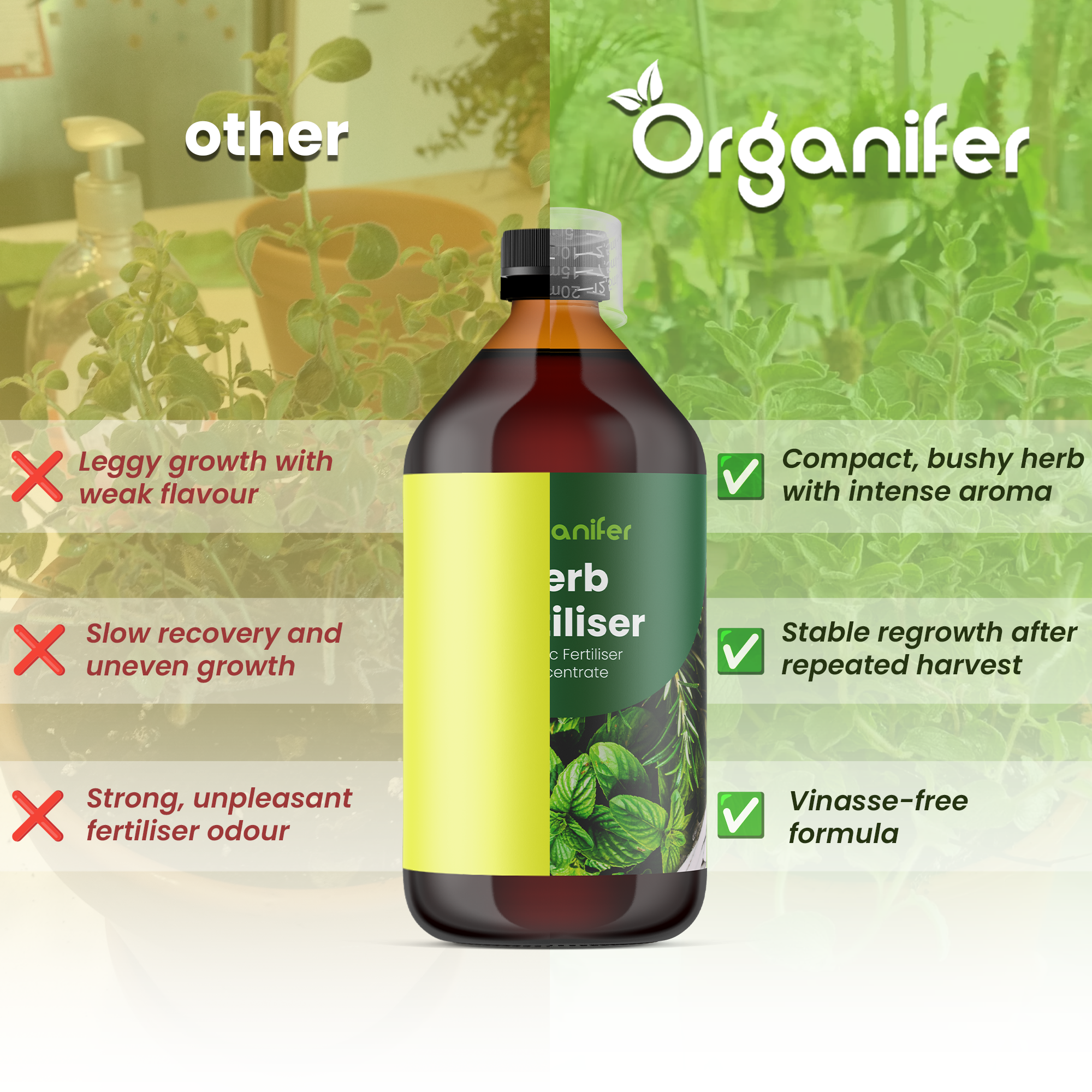 organifer_liquid_fertiliser_herb_comparison