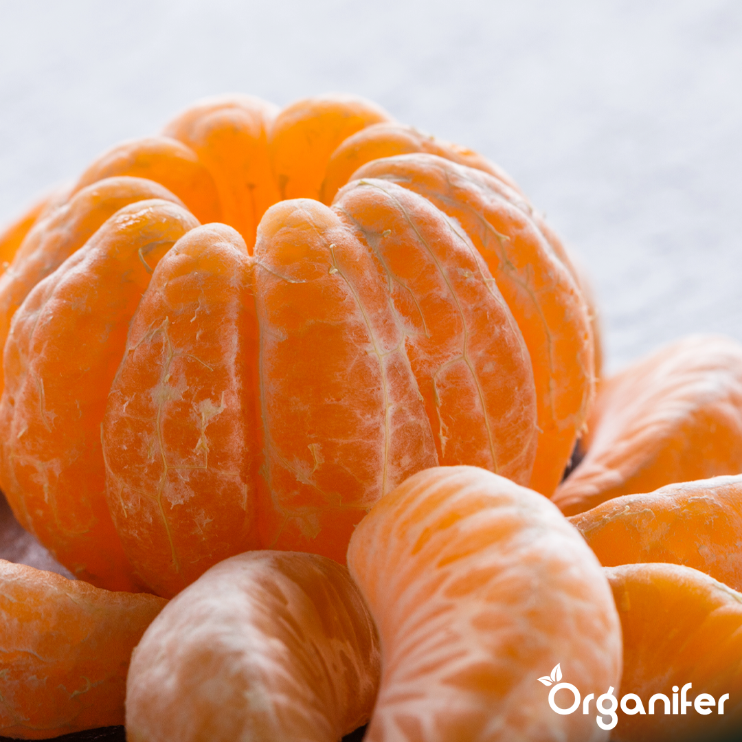 Organifer