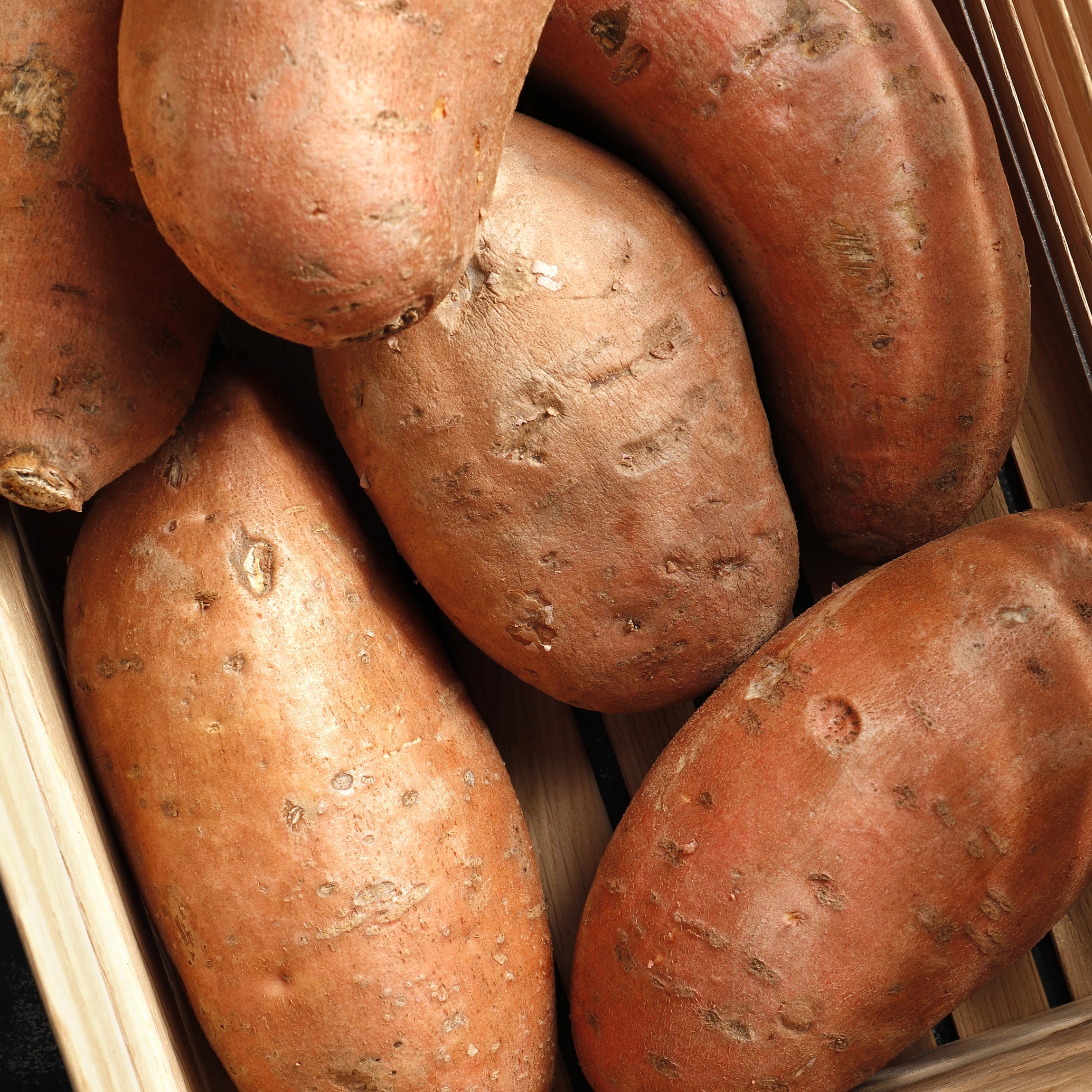 Palaiko tolygų šaknų vystymąsi