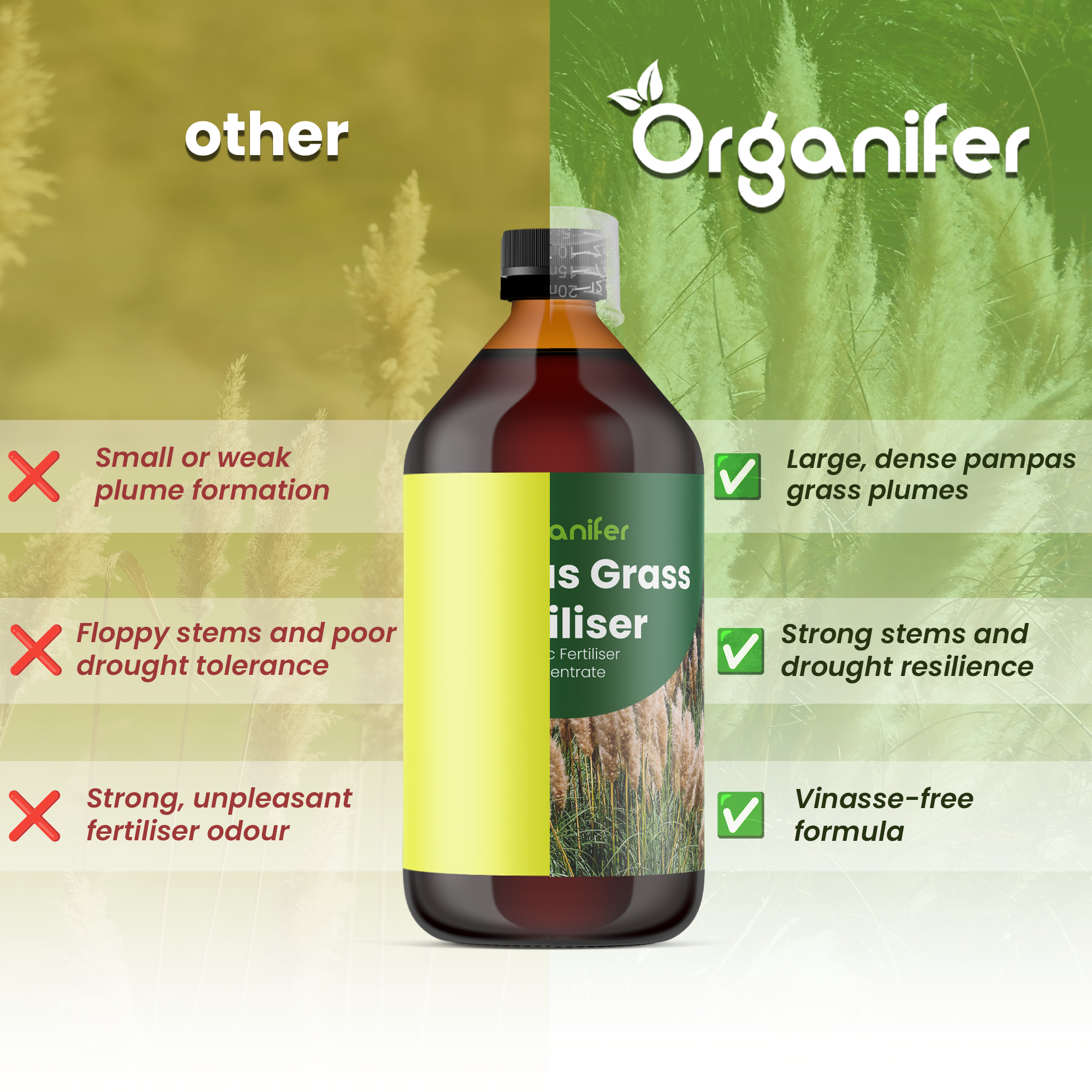 pampas_grass_comparison_english