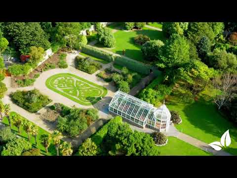 Încărcați clipul video: