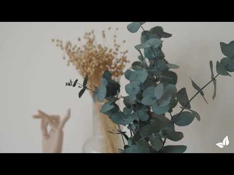 Зареди видео: