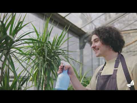 Зареди видео: