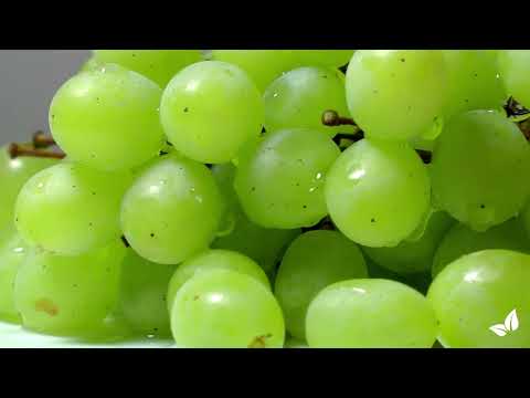 Φόρτωση βίντεο: