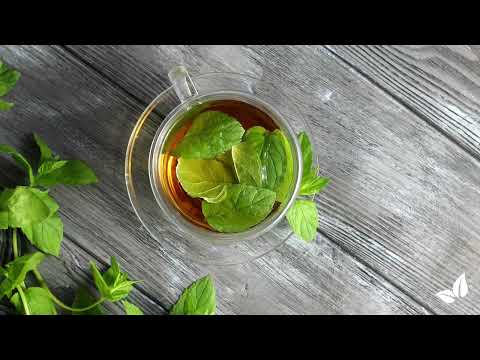 Încărcați clipul video: