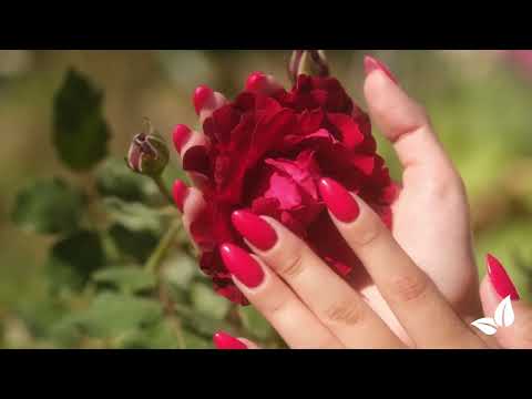 Încărcați clipul video: