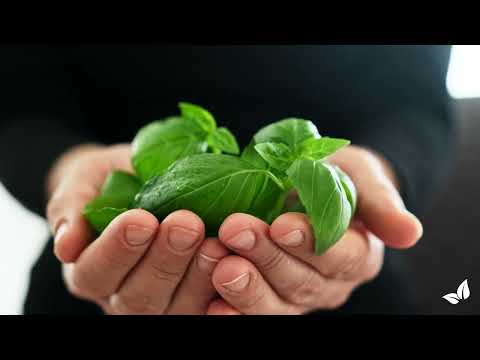 Încărcați clipul video: