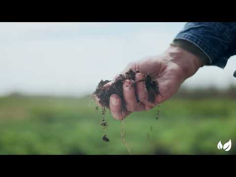 Încărcați clipul video: