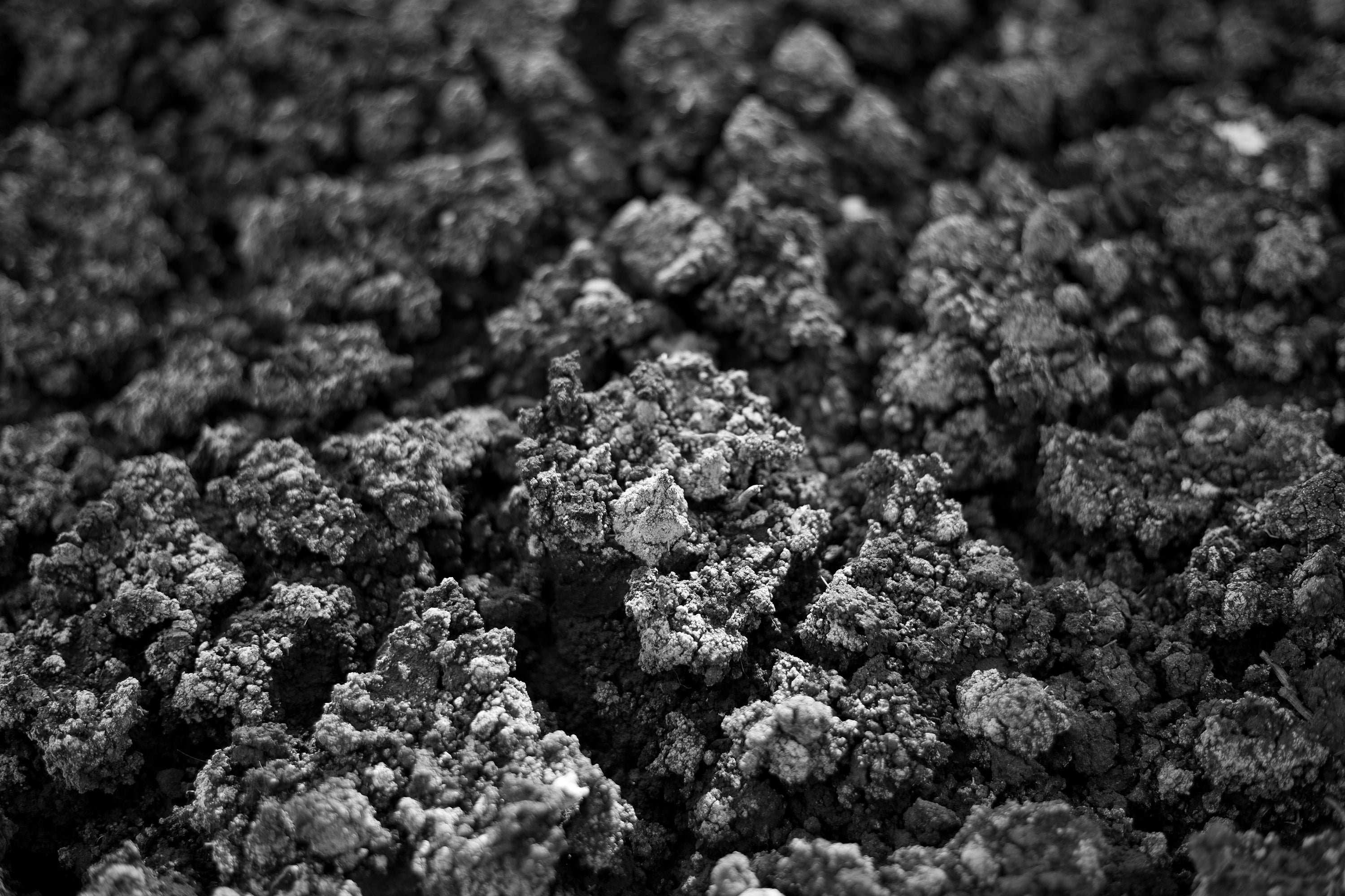 Natural Mineral Source for Soil Fertility