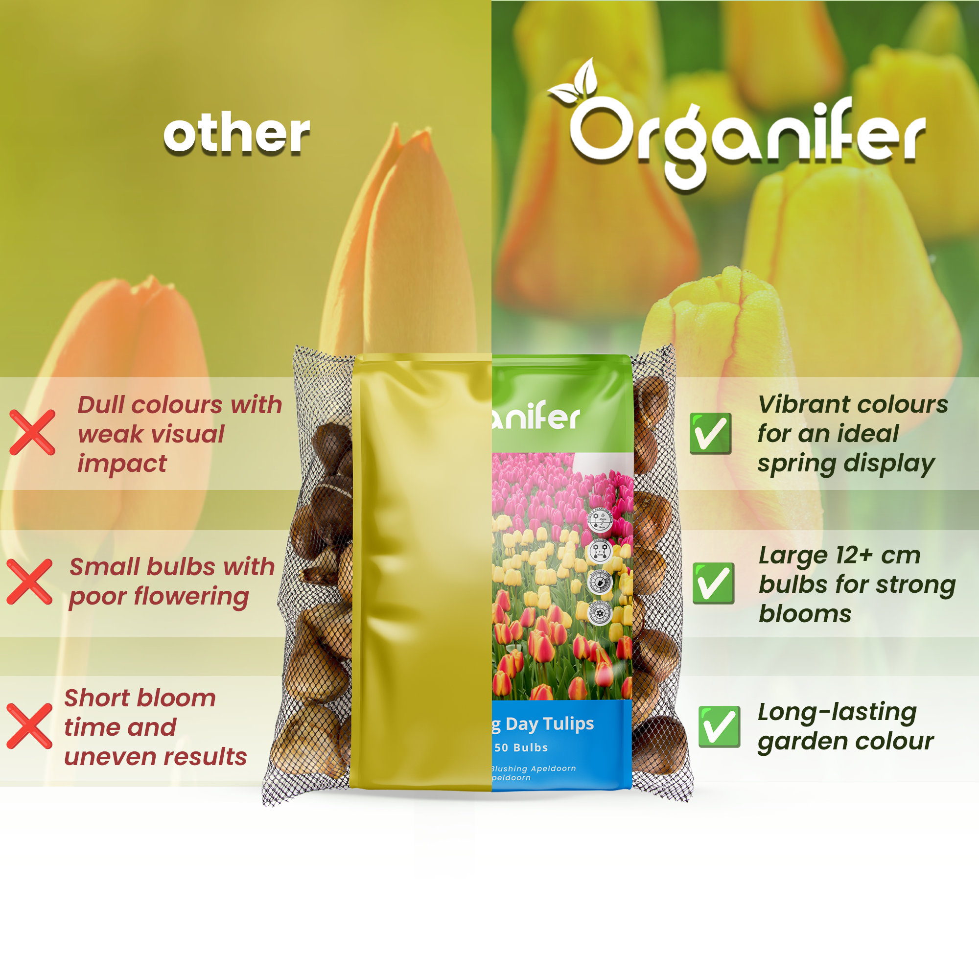 Comparison of Organifer tulip bulbs packaging with text highlighting features.