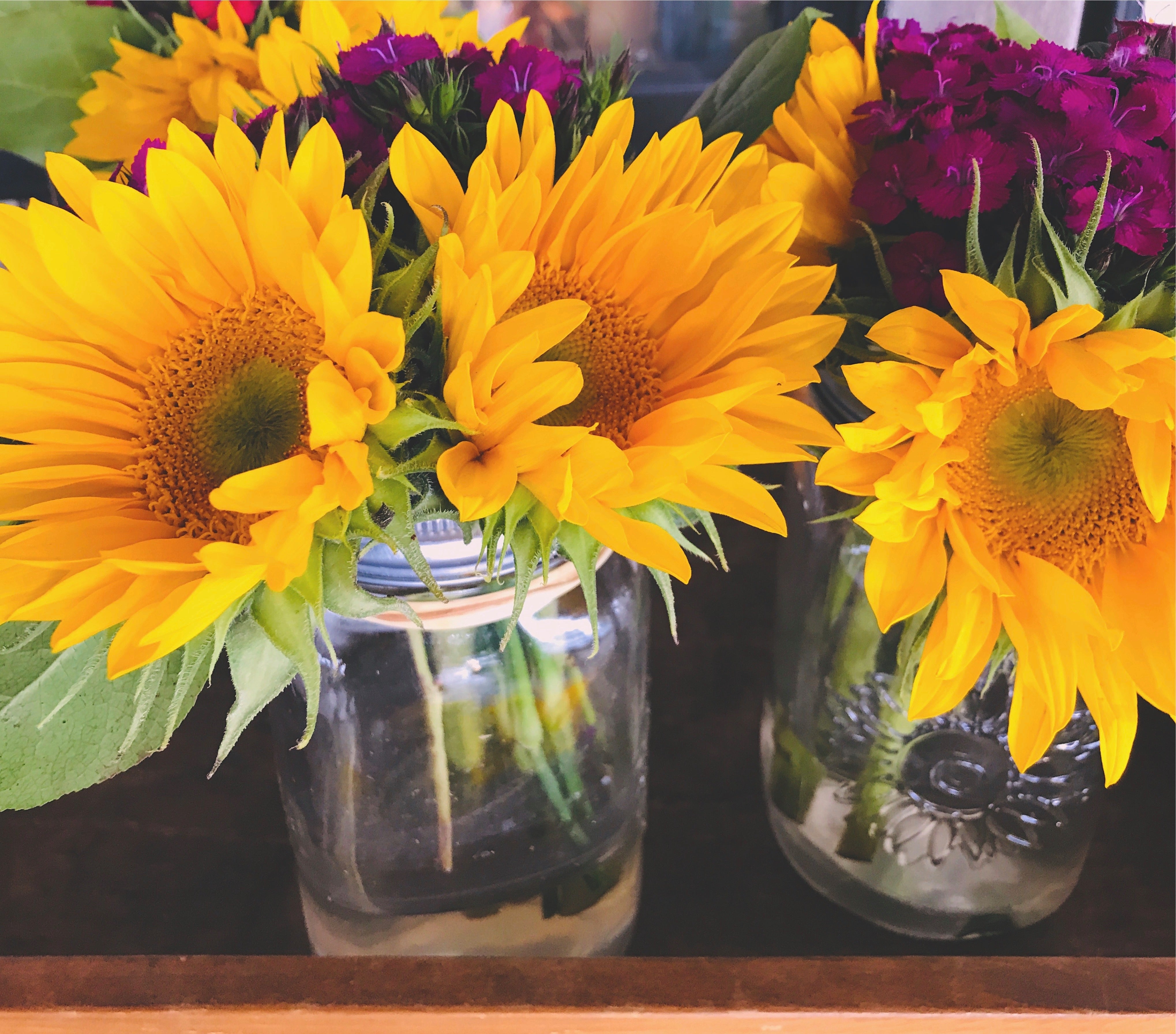 Suitable for Borders, Pots & Bouquets