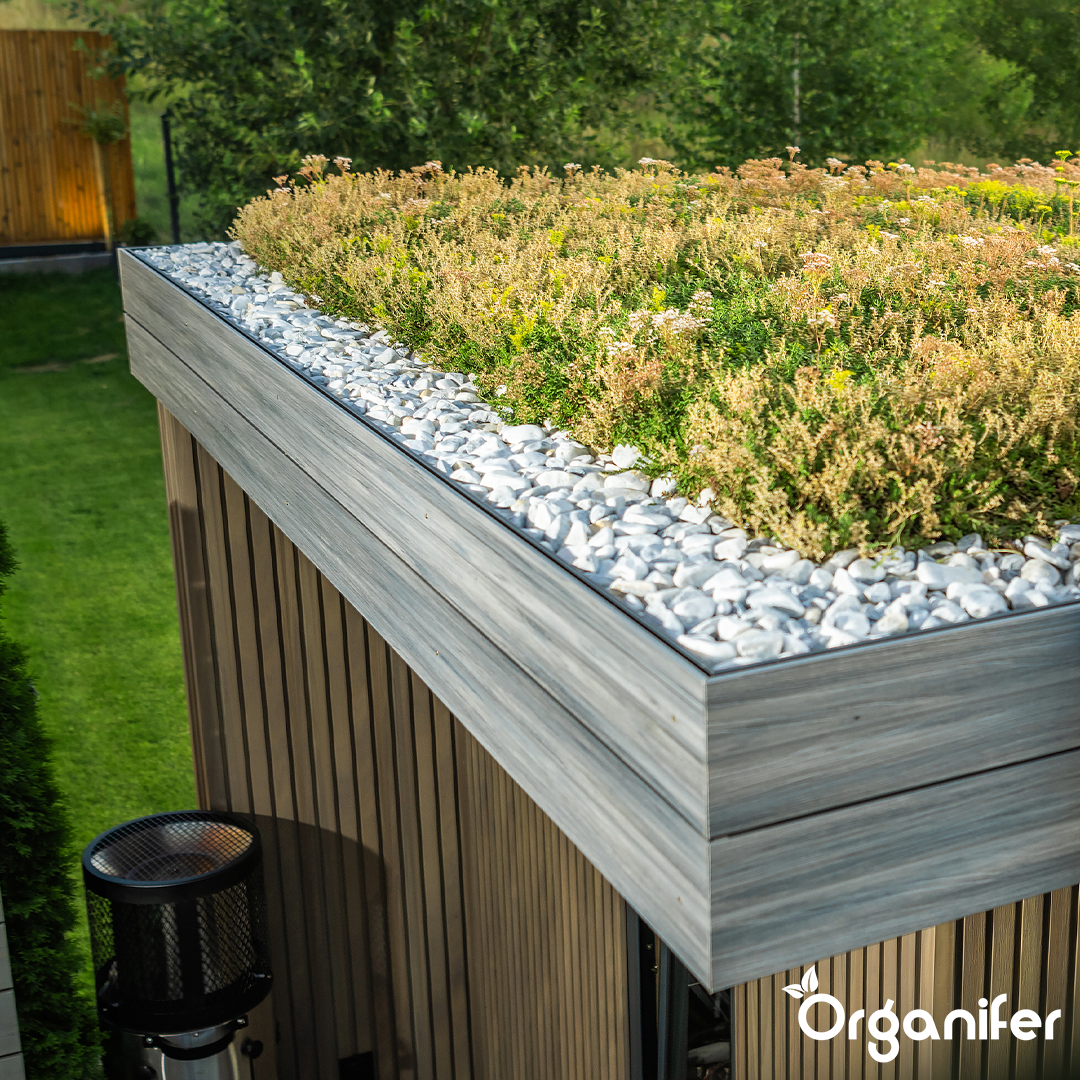 Sedum Roof: Laying, Maintenance and Repair, Step by Step