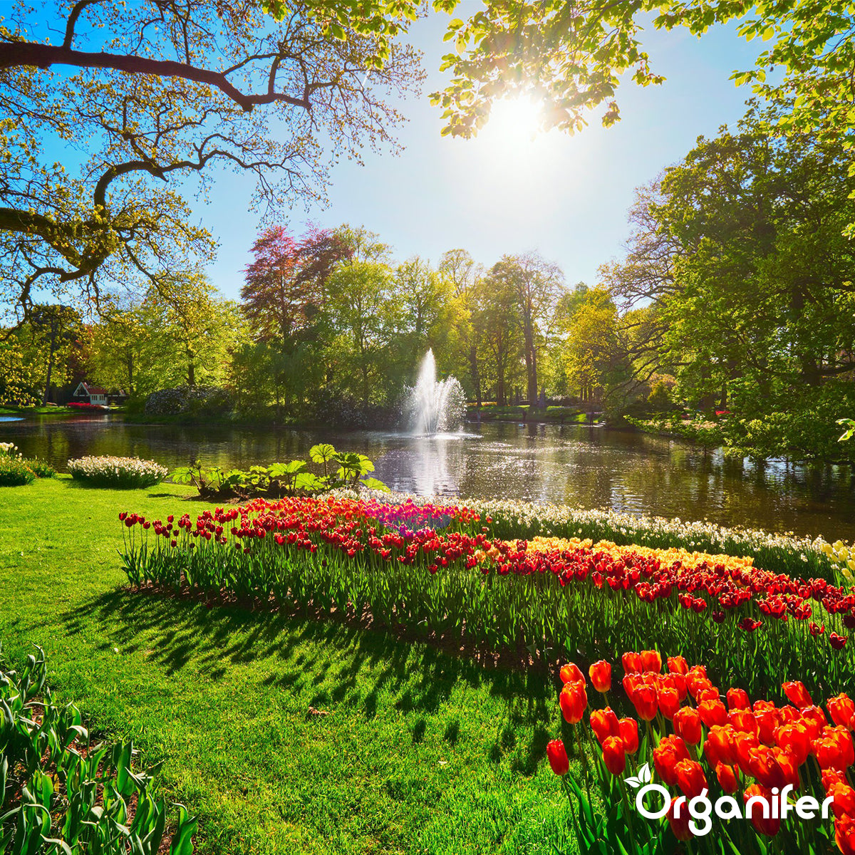 Insecten frass meststof