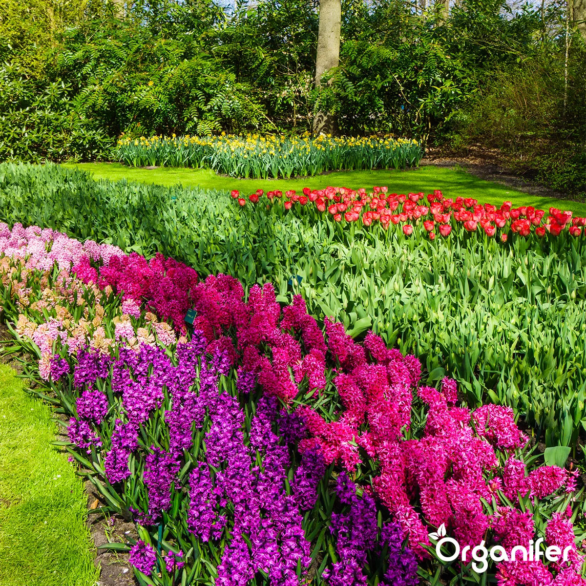 Mealworm Frass Fertiliser Pellets