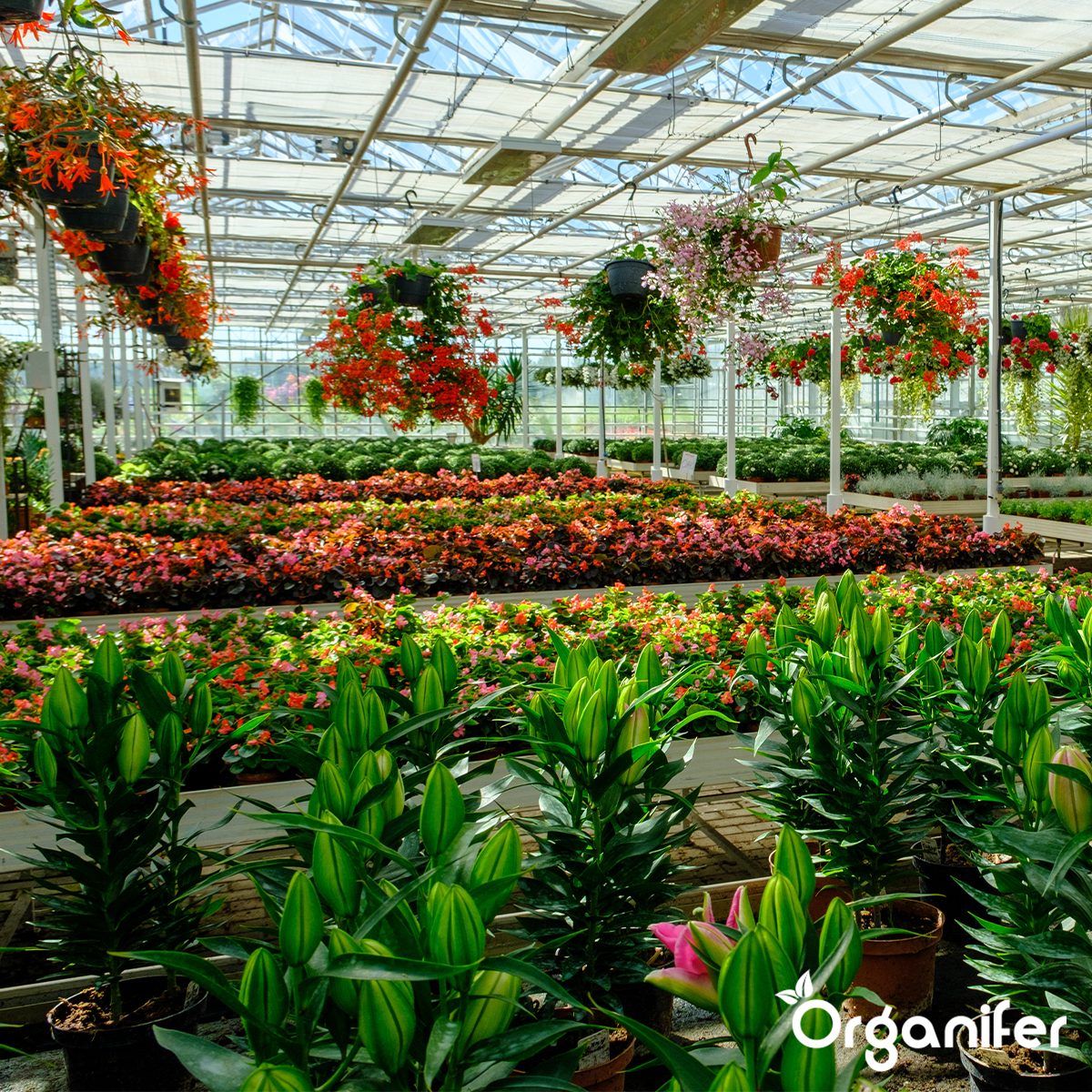 Mesttabletten All-In-One