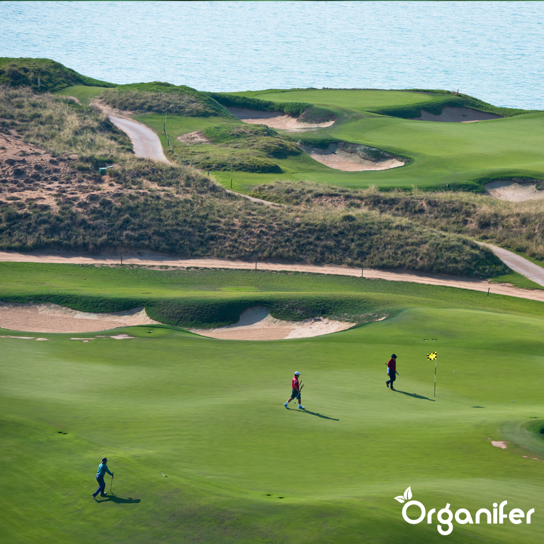 Pro Turf & Lawn Fertiliser