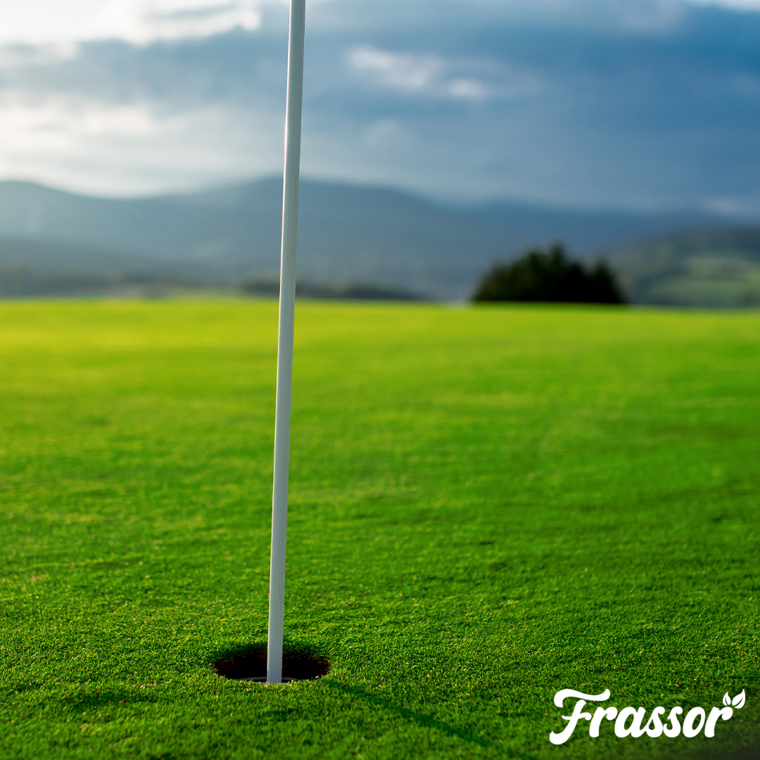 Frassor Lawn Fertiliser All-in-One