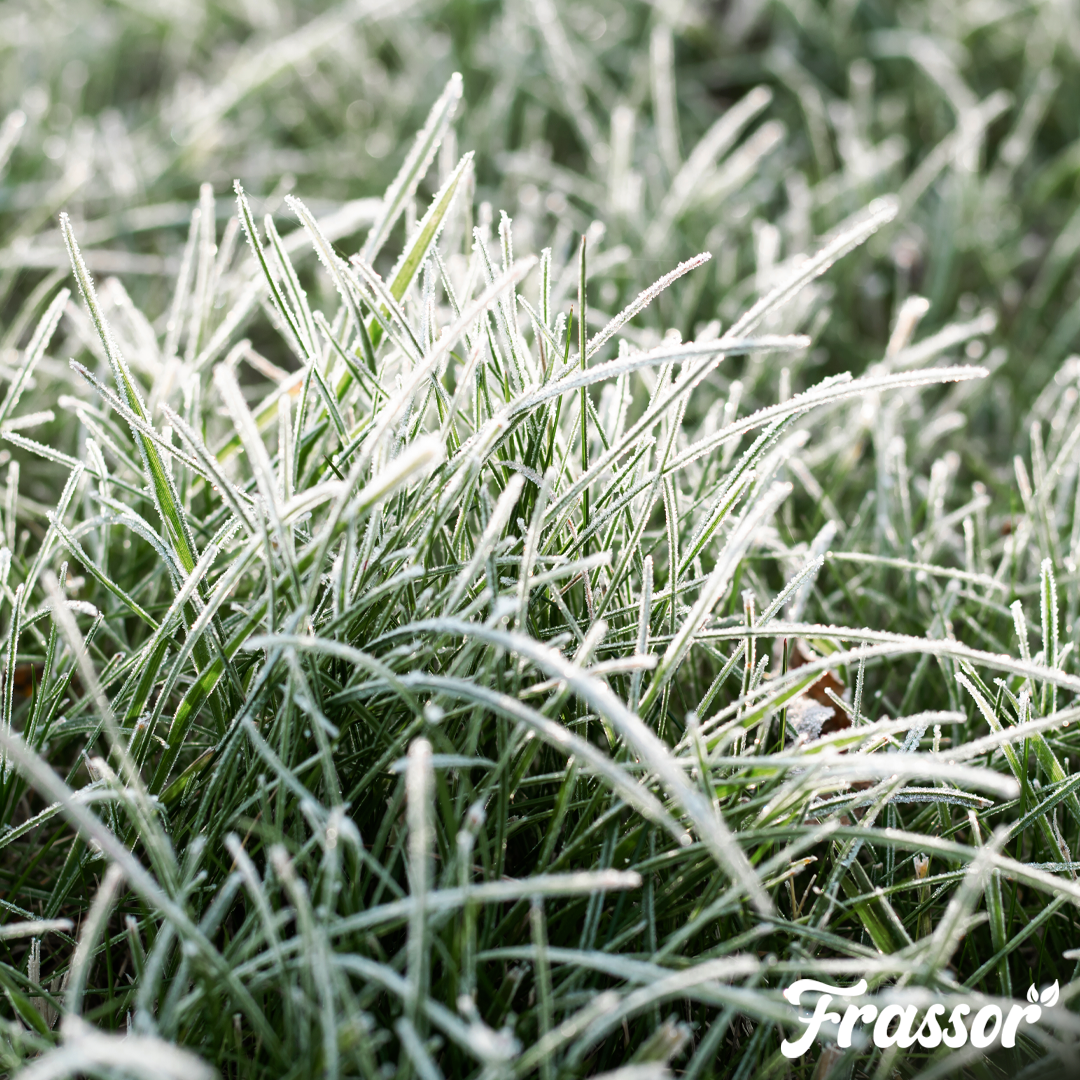 Frassor Autumn Fertiliser All-in-One