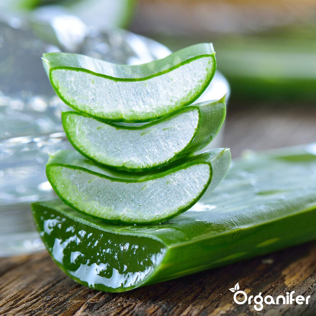 liquid fertiliser Aloe Vera